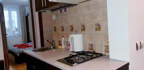 City Center Apartment Brasov 59