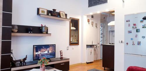 City Center Apartment Brasov 59
