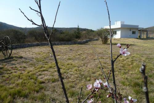 Apartamento Loft Las Acacias