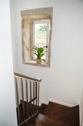 Villa Tio Z� - Casas De Selim - T2