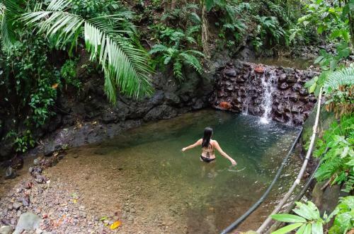 Albergue El Hongo Finca Hostal / Camping