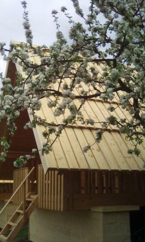 Agroturismo Farmglamping Planika - Encijan