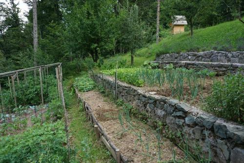 Bed & Breakfast Slabnik Nature Escape