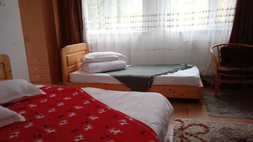 Hostal Casa Zura