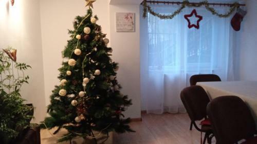 Hostal Casa Zura
