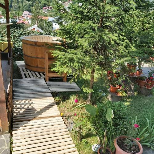 Lodge Pensiunea Premium Travel
