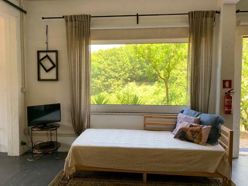 Loft - Casinha � Porta