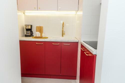 Apartamento Amazing View Calea Victoriei Old City