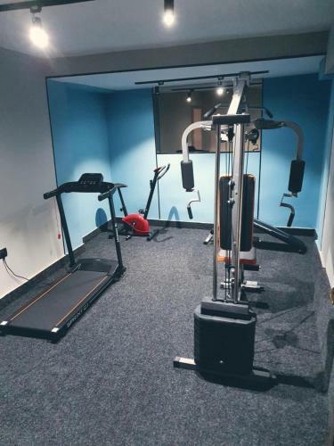 Aparthotel Emil Balaban Luxury Apart-hotel