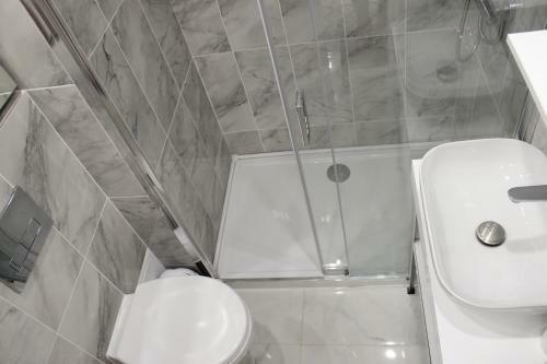 Luxury City Center Apartment ? Romana