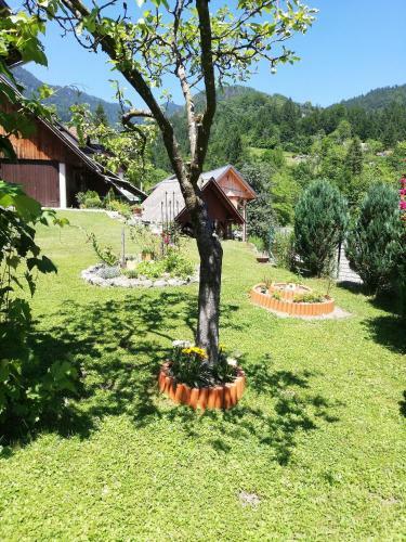 Apartma Pri Bregarju
