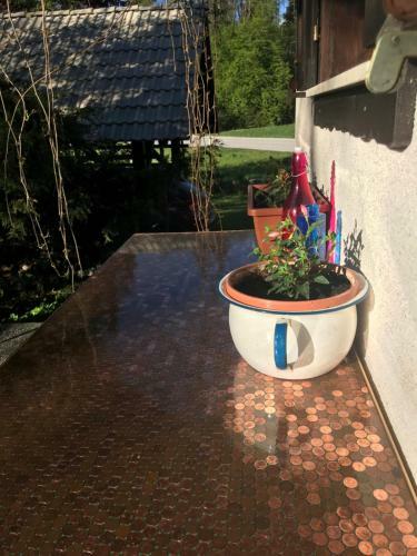 Kali Rustic Bohinj House