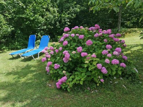 Holiday House Destina - Lake Bohinj