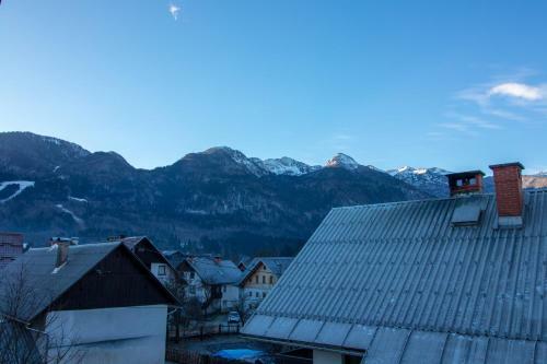 Hostal Apartments & Rooms Pr' Skalovc