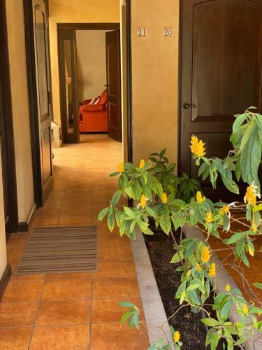 Apartamento Suite Don Pedro: Hermoso Loft Con Parqueo Gratis!