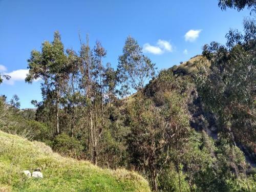 Agroturismo Las Acacias Hobbit House