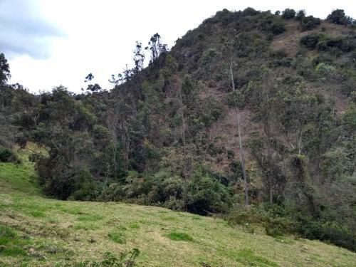 Agroturismo Las Acacias Hobbit House