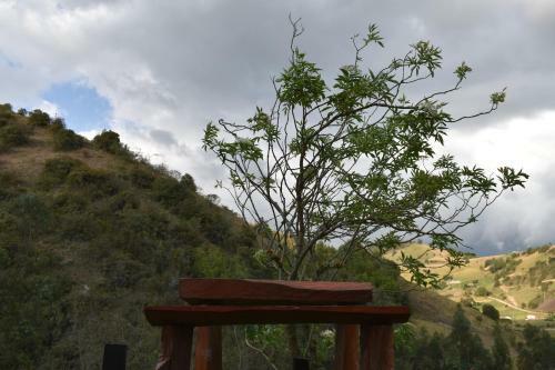 Agroturismo Las Acacias Hobbit House