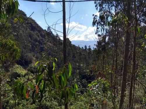 Agroturismo Las Acacias Hobbit House