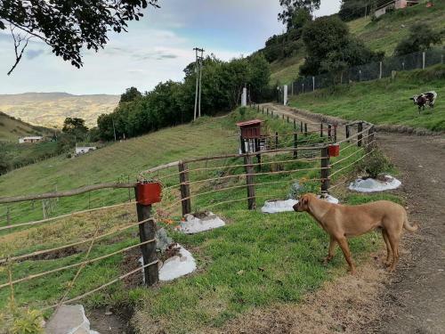 Agroturismo Las Acacias Hobbit House
