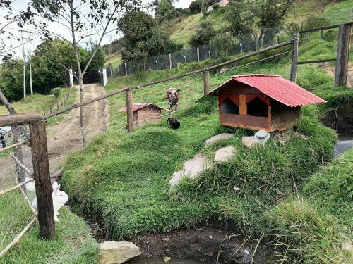 Agroturismo Las Acacias Hobbit House