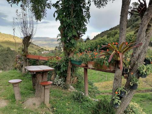Agroturismo Las Acacias Hobbit House