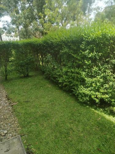 Apartamento Solanas Greenpark Monoambiente 4 Personas