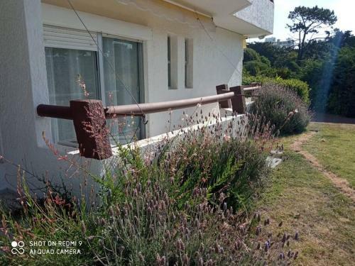 Apartamento Disfruta Punta Del Este Con Un Descanso Incre�ble