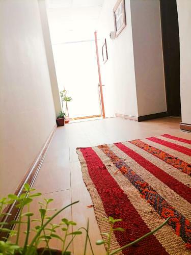 Amazing Pvt Apart With Nice Balcony- Spacious Private Apartment