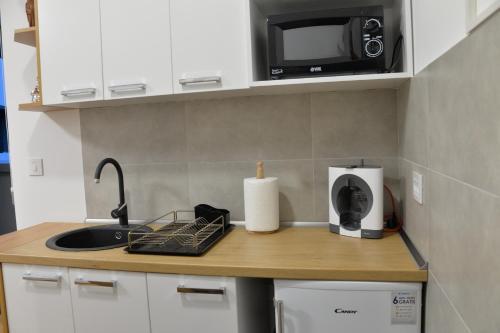 Pupin Palata Business Apartman B5