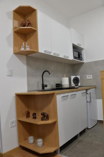 Pupin Palata Business Apartman B5