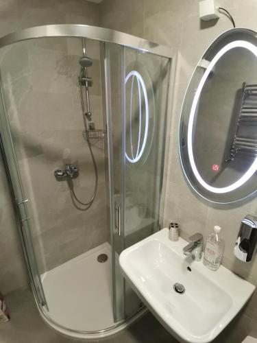 Pupin Palata Business Apartman B15