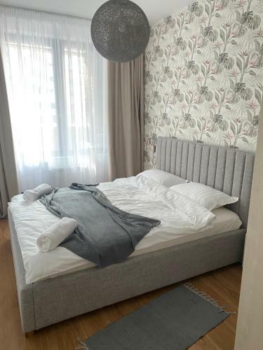 Apartment Pupin Star - City Centre