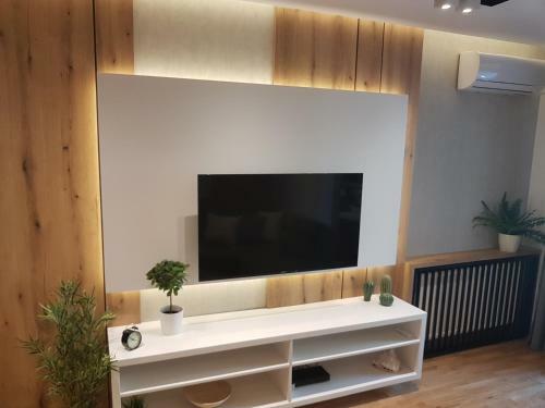 Tesla 3 Apartment
