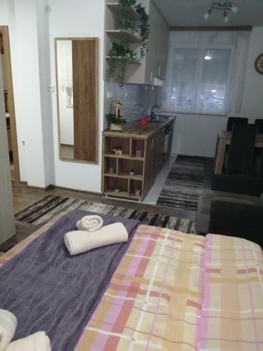 Apartman Sajam&m