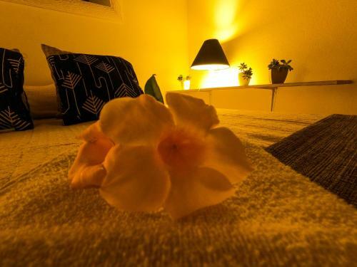 Albergue Amazonia Guest House
