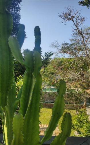 Hostal Recanto Da Ferradura