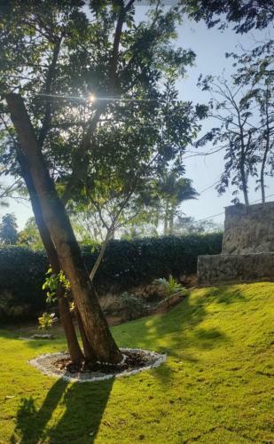 Hostal Recanto Da Ferradura