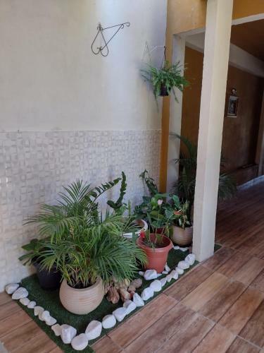 Apartamento Espa�o Fam�lia Rocha