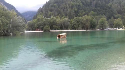 Villa Hi?a Pod Gorami**** - House With Wellness