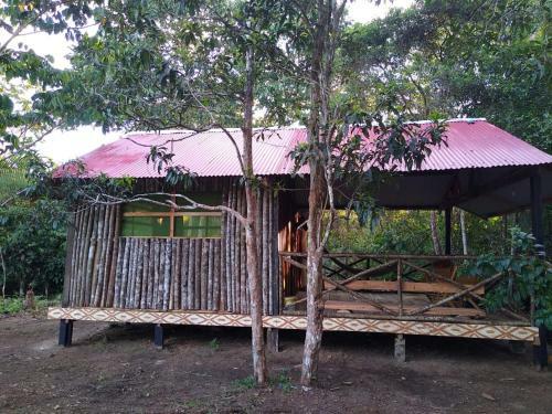 Panguana Lodge