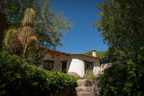 La Casa Del Molle