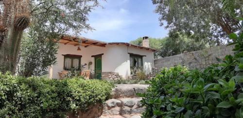 La Casa Del Molle