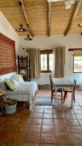 Bed & Breakfast Terraza Del Molle