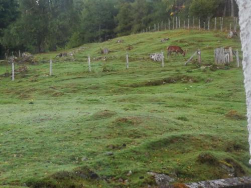 Agroturismo Highgarry Cottage