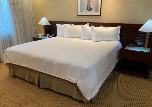 Eurobuilding Hotel & Suites Guayana