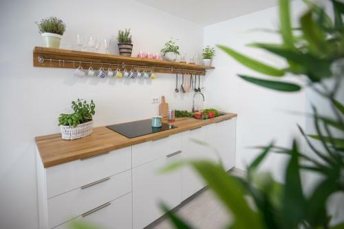 Family Apartment With Garden