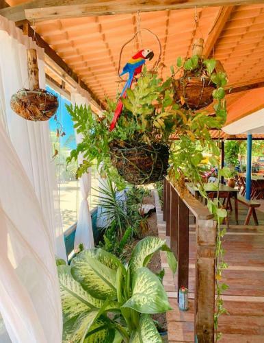 Hostal In�cio Dos Milagres