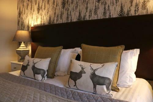 Hostal No.12 Quality Street