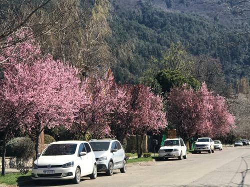 Apartamento Aliwen Rauli